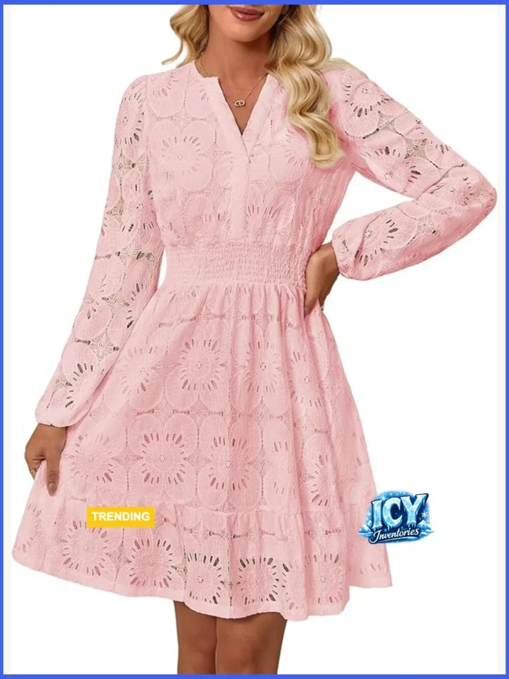 Long Puff Sleeve Floral Mini Dress V Neck Hollow Out Eyelet Lace Embroidery